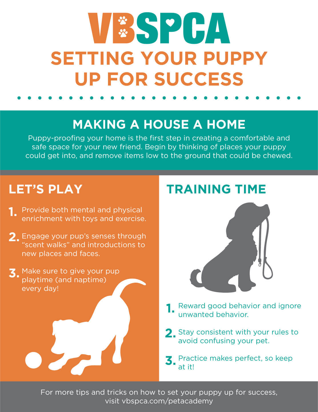 https://vbspca.com/wp-content/uploads/2020/01/Educational_PuppyTraining_2020.jpeg