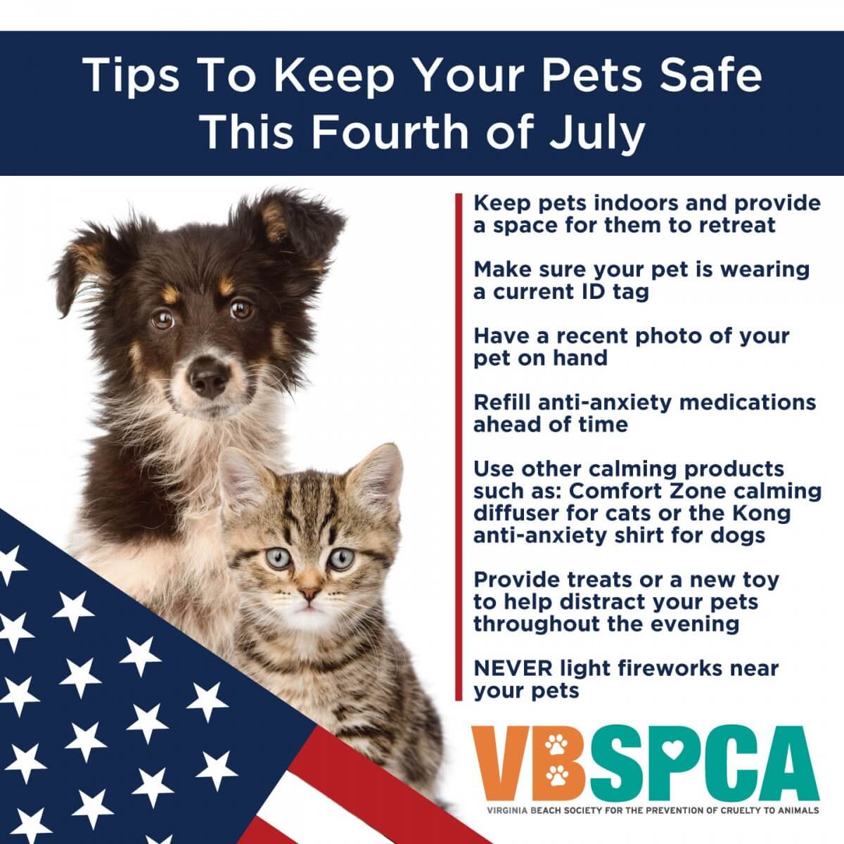 7 Tips to Keep Your Pets Safe This Fourth of July – Virginia Beach SPCA