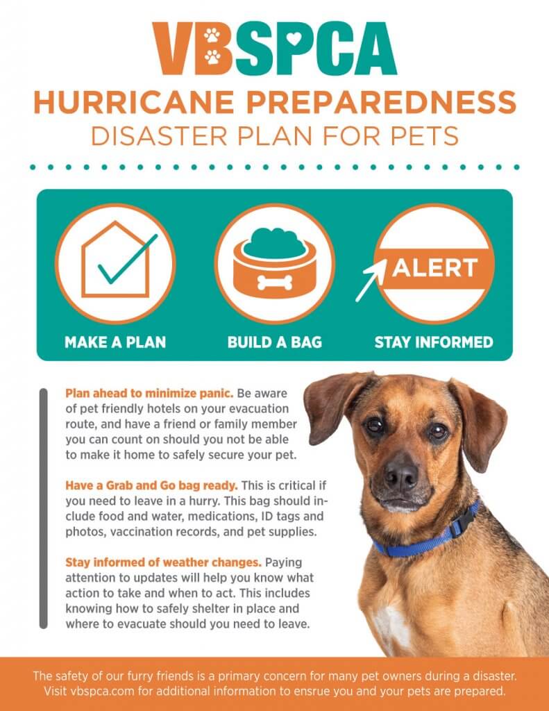 Hurricane Preparedness — Disaster Plan For Pets – Virginia Beach SPCA