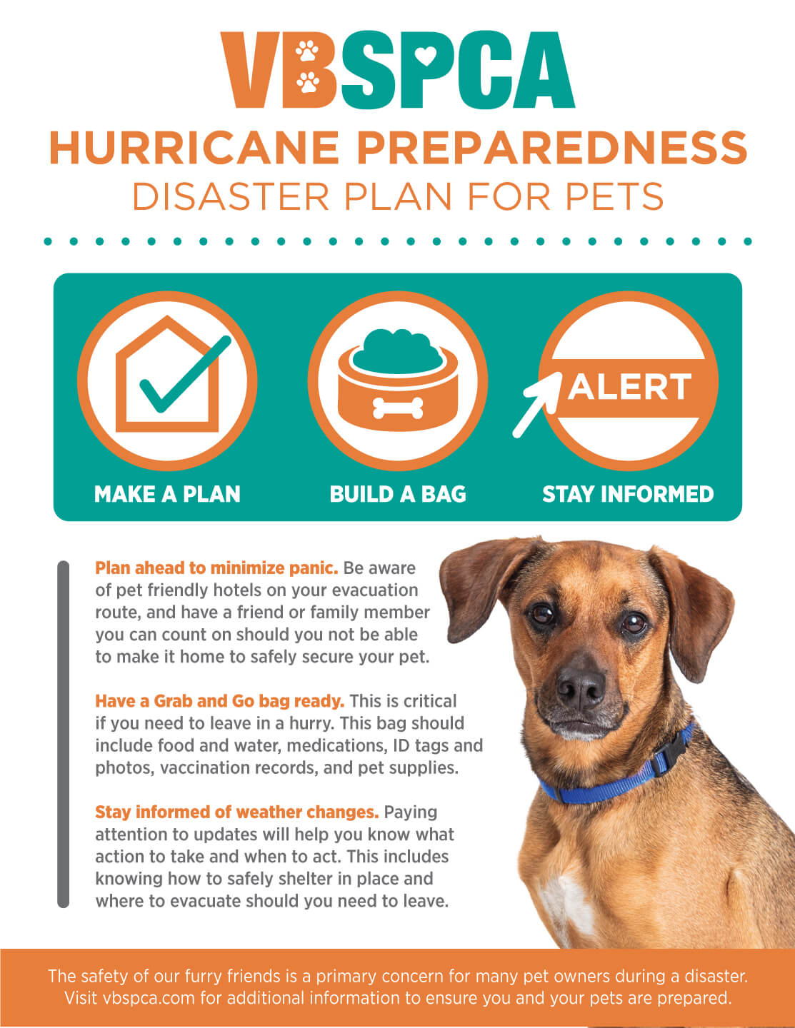 Hurricane Preparedness Disaster Plan for Pets Virginia Beach SPCA