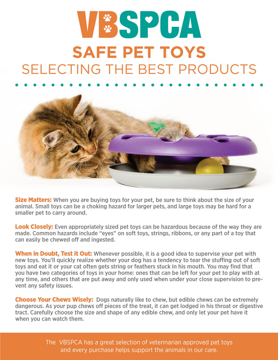 Choosing the Best Pet Treats and Toys for Your Dog and Cat