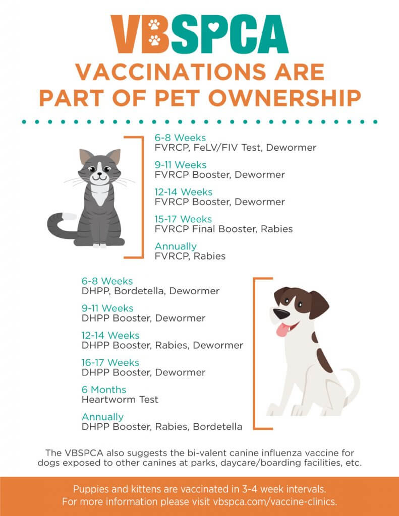 Vaccinations Virginia Beach Spca