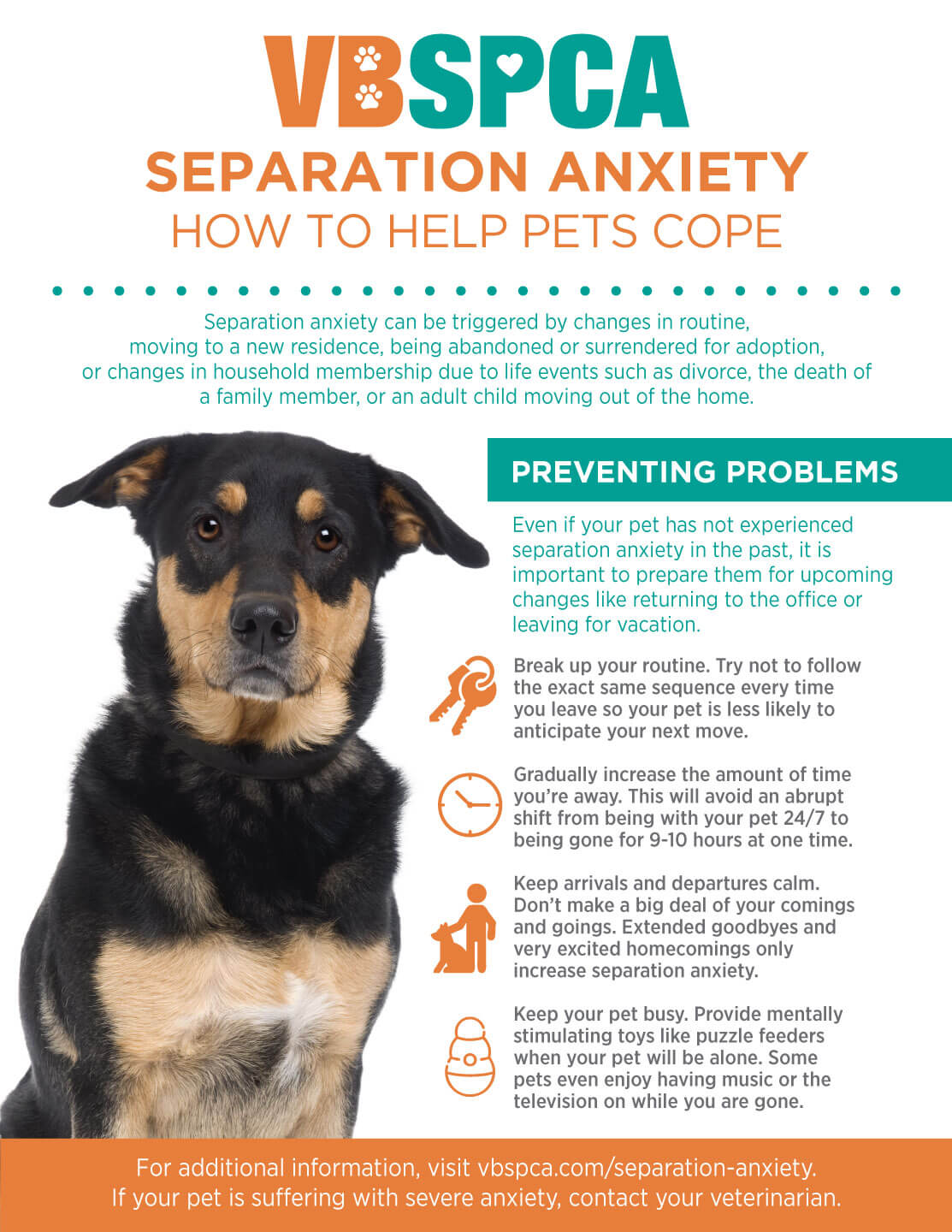 Separation Anxiety  How To Help Pets Cope – Virginia Beach SPCA