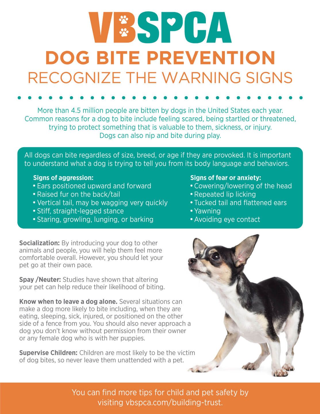 Dog Bite Prevention Poster