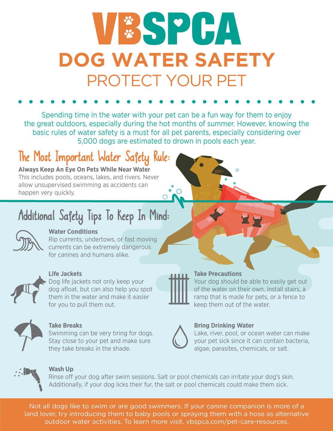 Doggy paddle without the danger – Pet safety around water - First