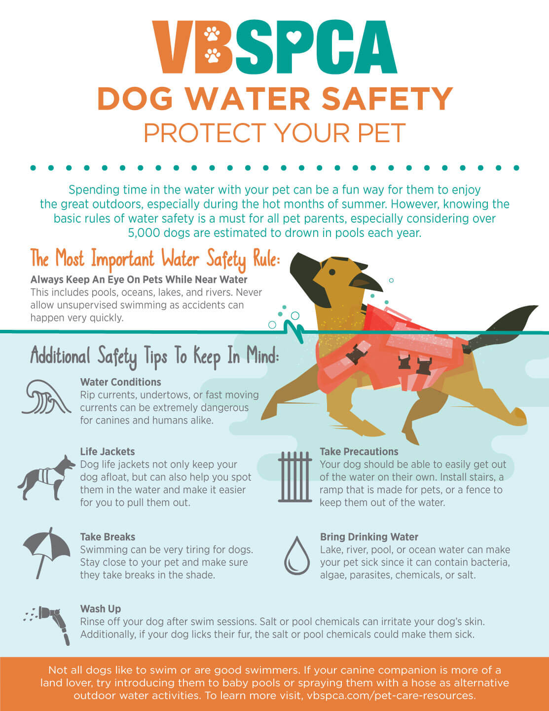 https://vbspca.com/wp-content/uploads/2021/07/Educational_Water_Safety_2021.jpg