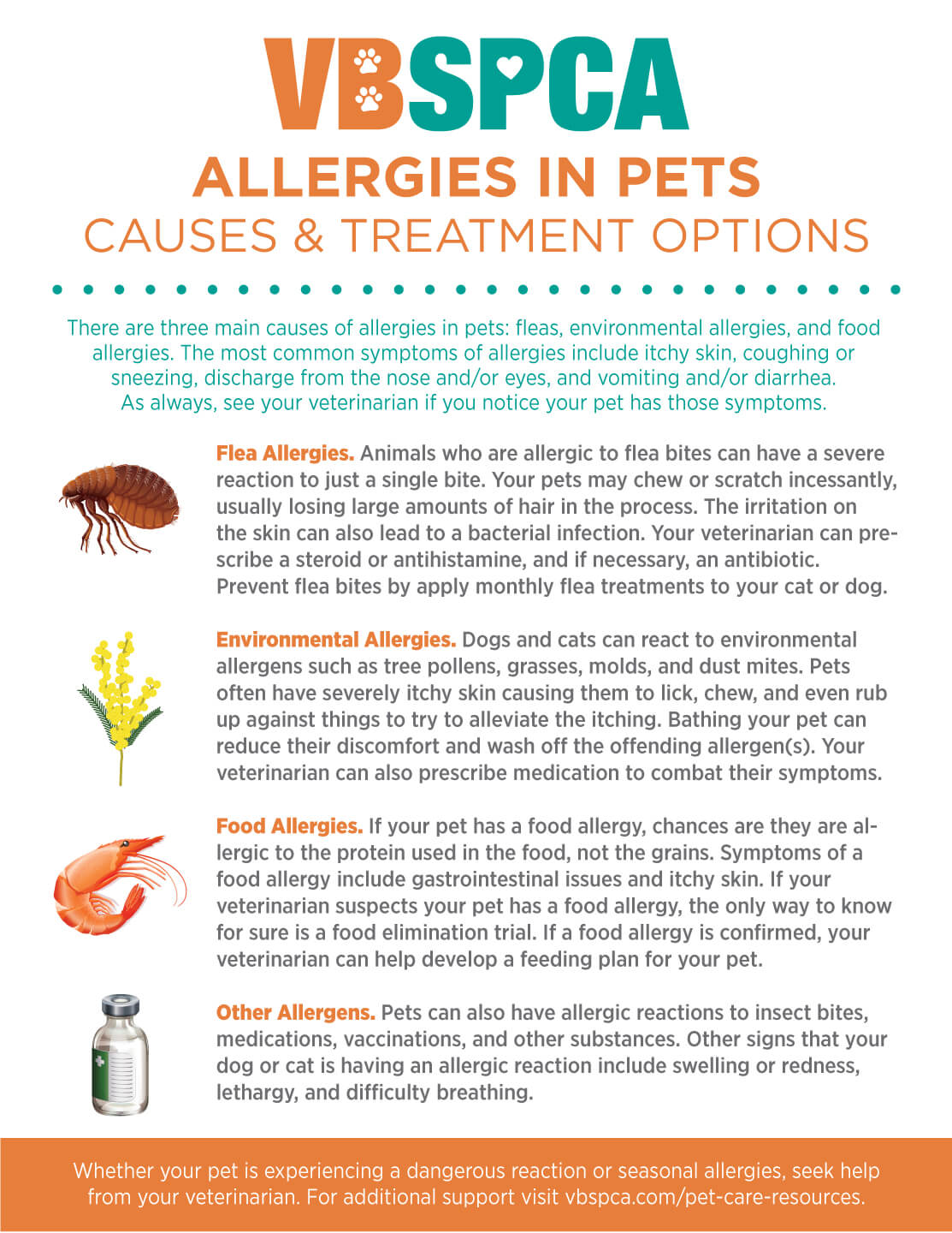 Allergies in Pets Causes Treatment Options Virginia Beach SPCA