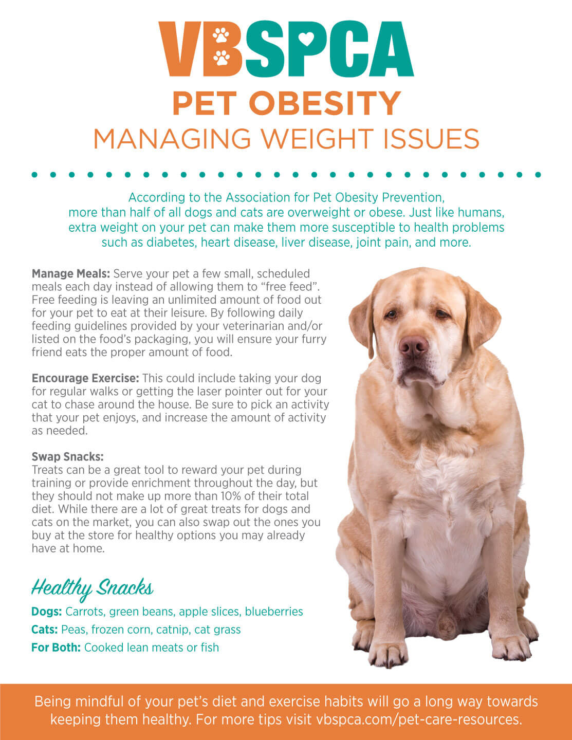 Your pet's healthy weight  American Veterinary Medical Association
