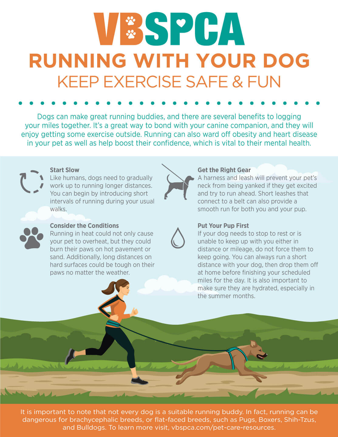 Training Exercises for Dogs. Teach Your Dog More Exercises