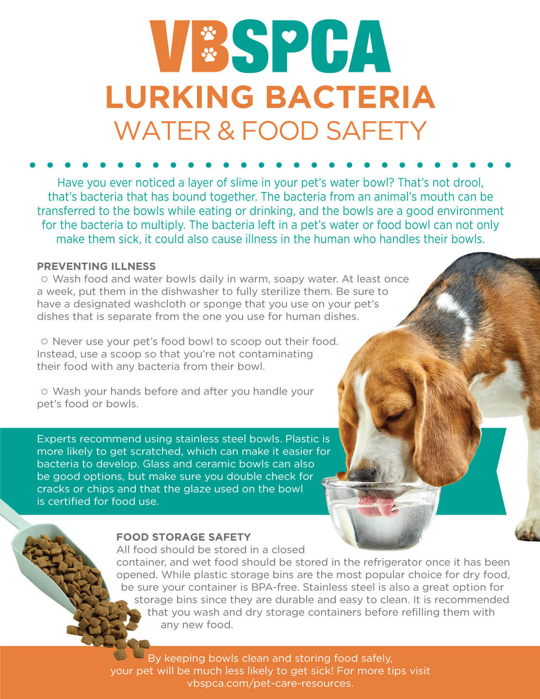 What Is Lurking in Your Dog's Water Bowl?