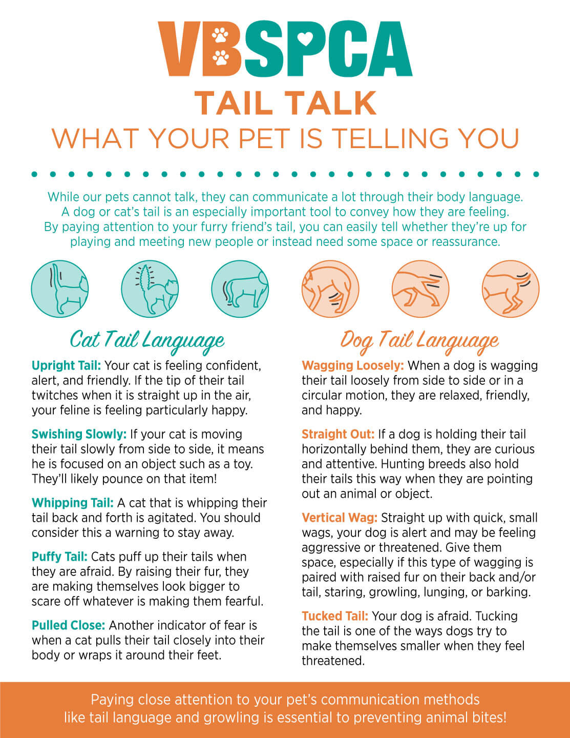 dog tail speak