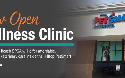 Wellness Clinic