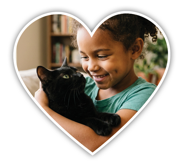 VBSPCA Mission and Vision