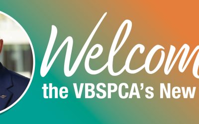 Virginia Beach SPCA Welcomes Hans VonKruger as CEO